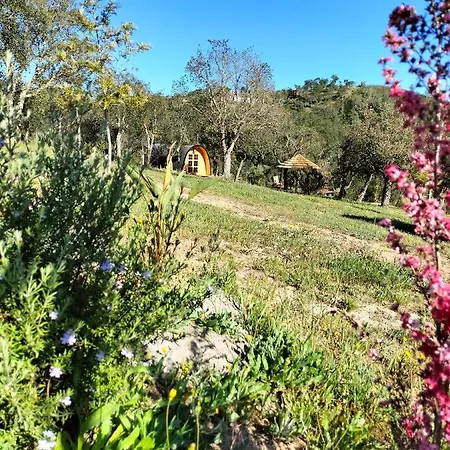 Holiday home A Baleia, Bungalow De Charme Aljezur
