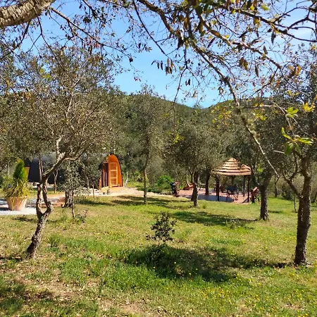 A Baleia, Bungalow De Charme Holiday home *